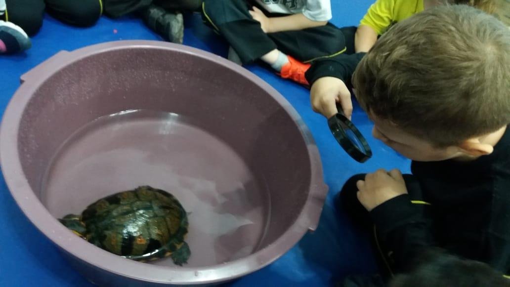 Educação Infantil da IENH pesquisa o fundo do mar em projeto de estudos