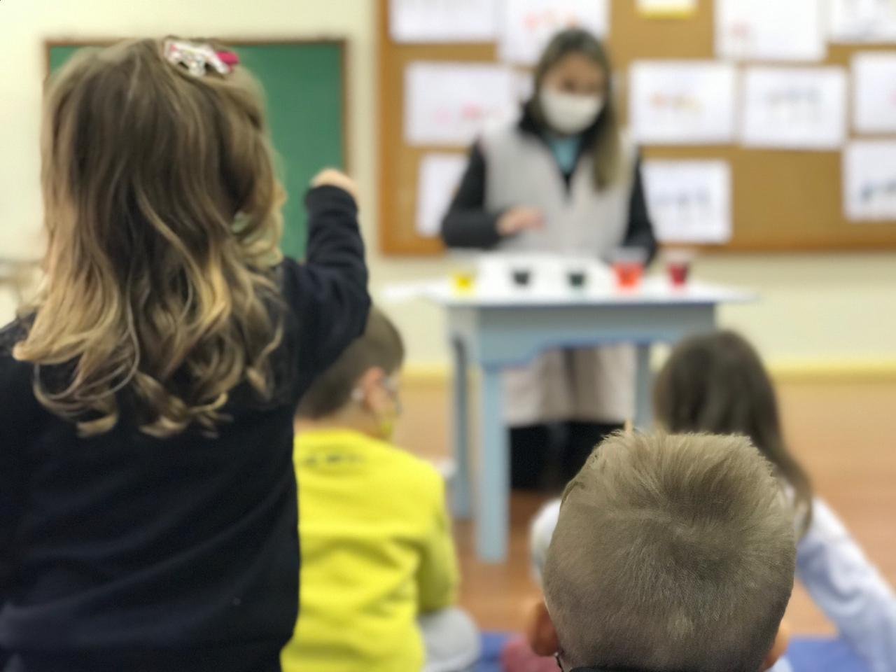 Projeto de Estudos “Pesquisa em Ação” concluiu a temática “cores” nos Níveis 3 da Unidade Pindorama