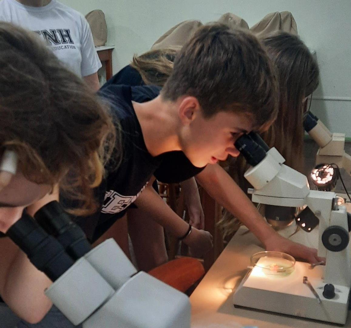 Alunos da IENH brilham na Olimpíada Escolar de Natação