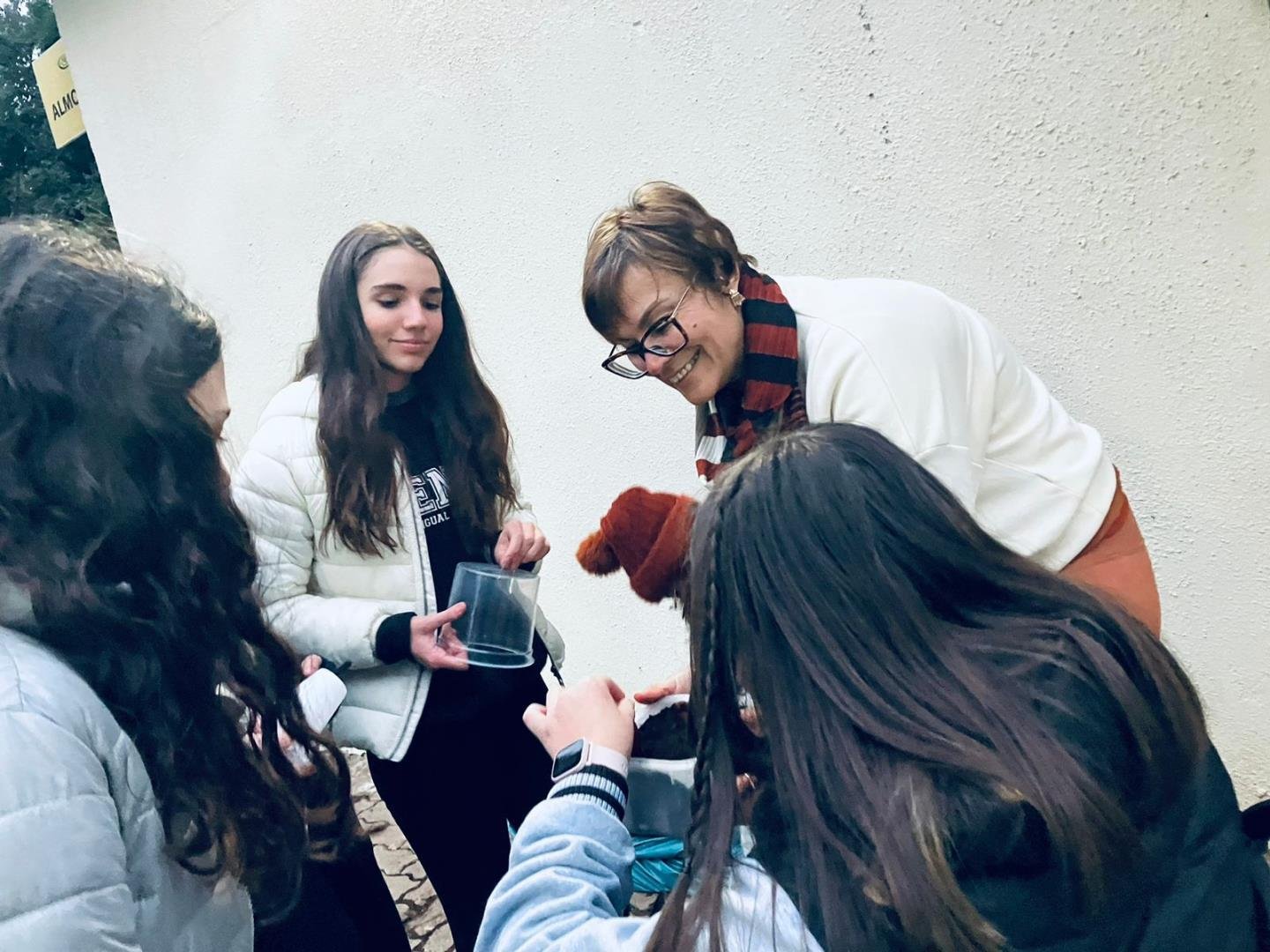 Alunos do Ensino Médio participam do projeto “Preserve as araucárias”