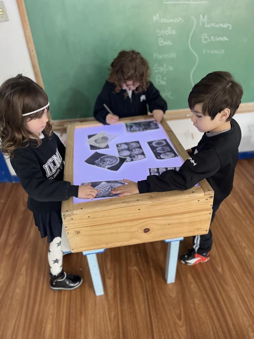 Nível 4B da Unidade Pindorama pesquisa sobre as emoções